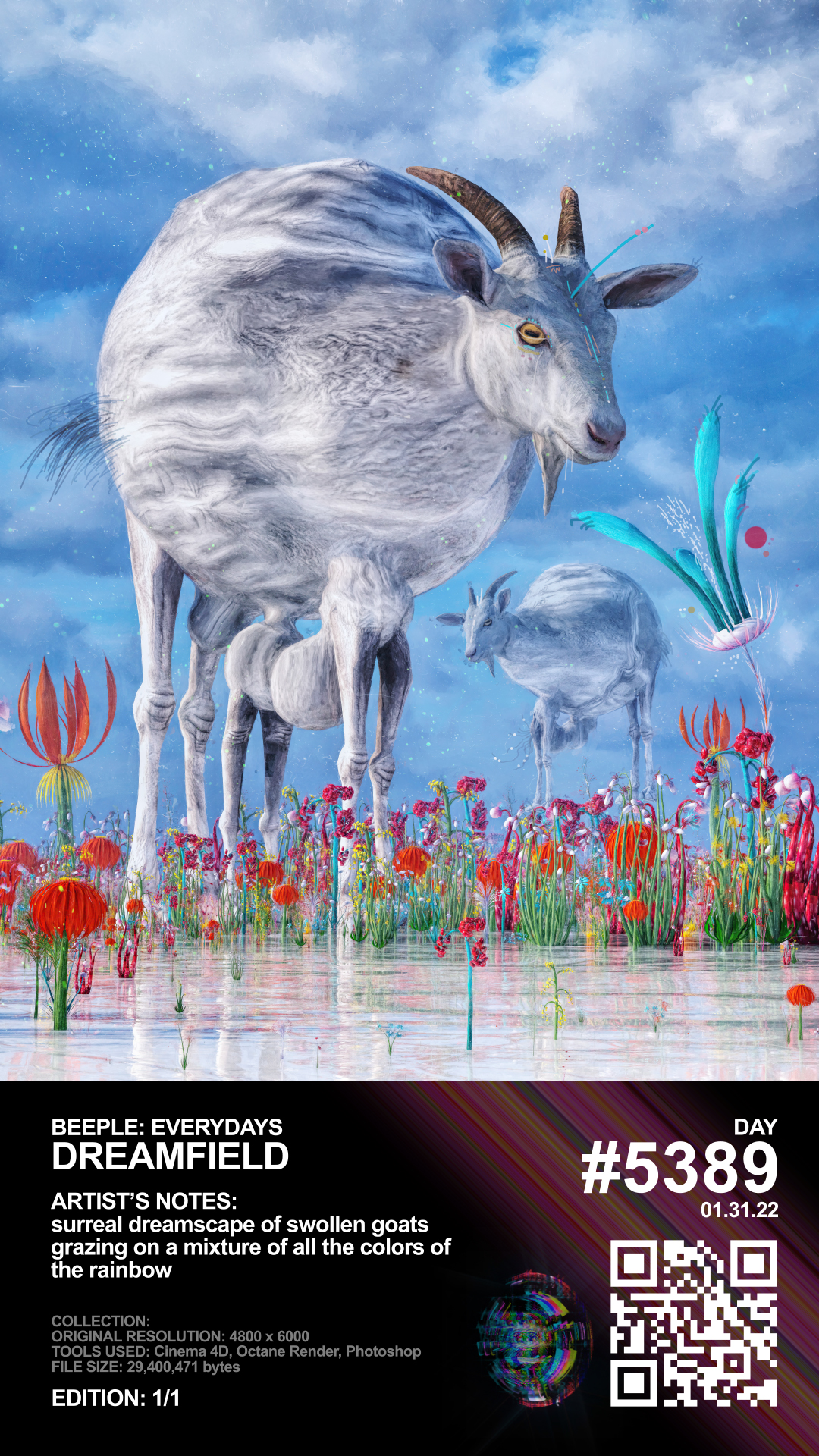 DREAMFIELD